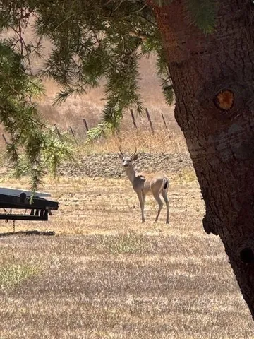 $1,850,000 | 275 Nicholson Drive, Hollister, CA 95023