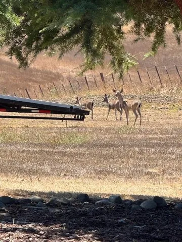 $1,850,000 | 275 Nicholson Drive, Hollister, CA 95023