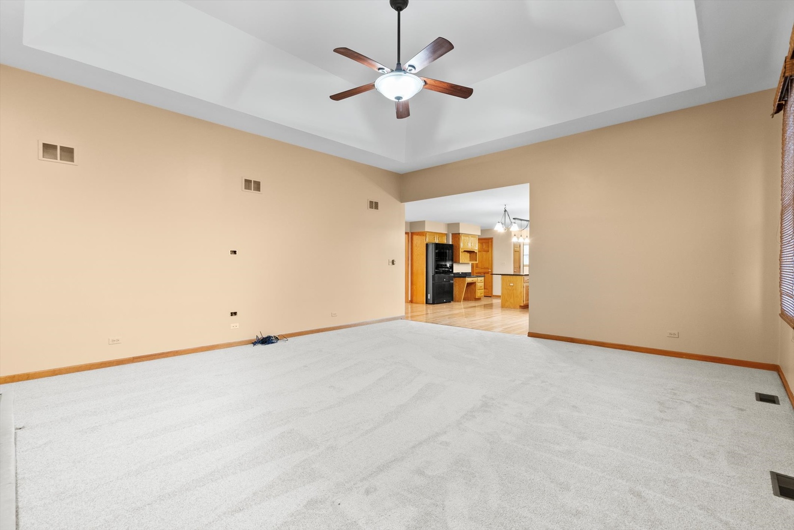 1107 Conan Doyle Road Naperville, IL 60564 - Photo 11 of 34 a view of an empty room with a ceiling fan