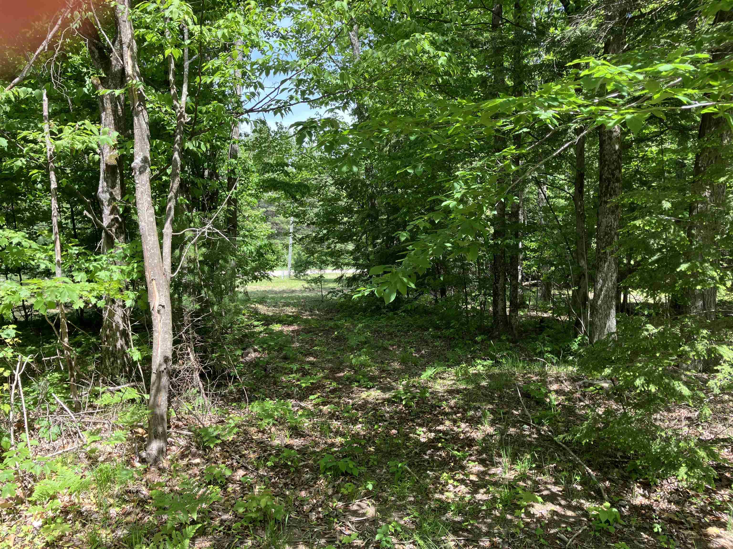 0 Cemetery Road Mancelona, MI 49659 - Photo 11 of 25