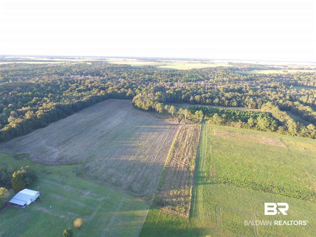 0 Carver Road Foley, AL 36535 - Photo 15 of 15