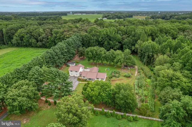 a view of a lush green forest with a houses
