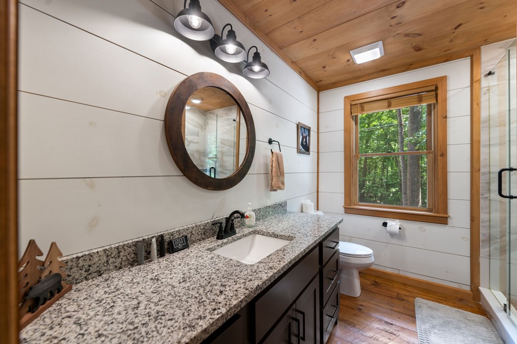 391 Little Bushy Head Road Blue Ridge, GA 30513 - Photo 35 of 72