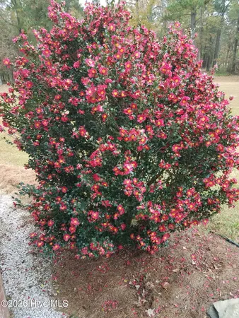 $475,000 | 1052 North Creek Drive, Bath, NC 27808