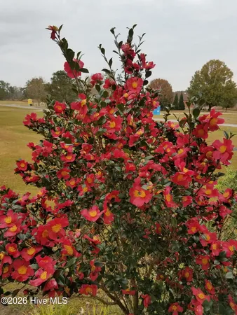 $475,000 | 1052 North Creek Drive, Bath, NC 27808