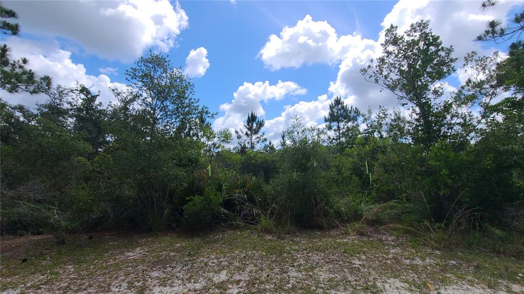 2575 North Bear Run Frostproof, FL 33843 - Photo 11 of 27 a view of a bunch of flowers in a yard