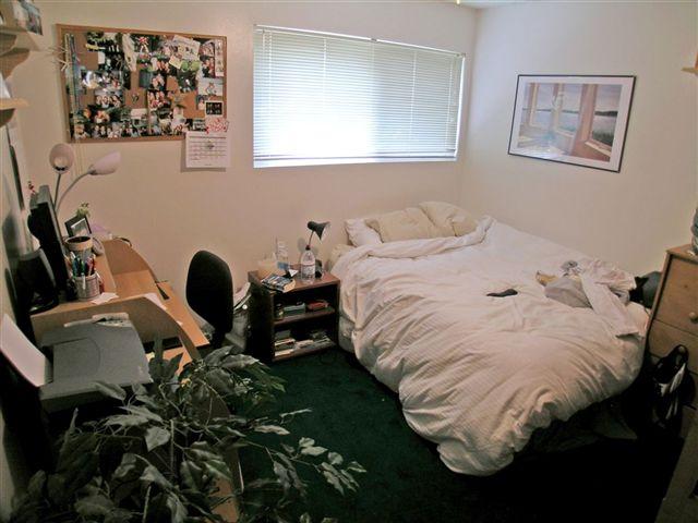 6707 Sabado Tarde Road Goleta, CA 93117 - Photo 10 of 11 Bedroom 1