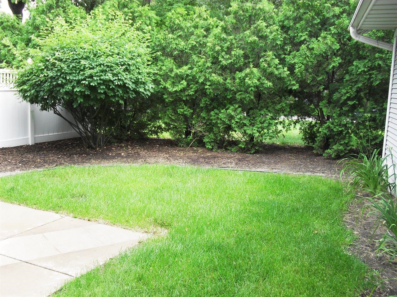 3454 Ridge Road Highland, IN 46322 - Photo 4 of 15 a view of a backyard with a trees