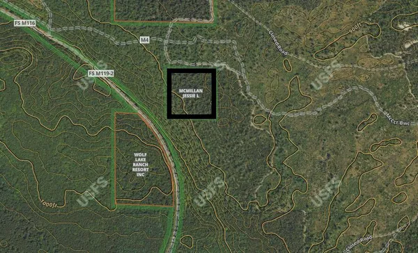 $55,000 | Lp Lp 340th Trail, Baldwin, MI 49304