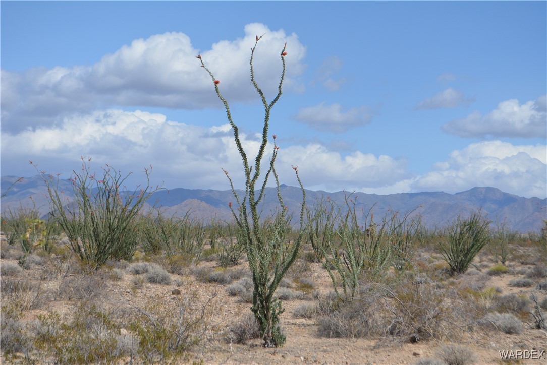 245-24-107 South Rainbow Road Yucca, AZ 86438 - Photo 66 of 91