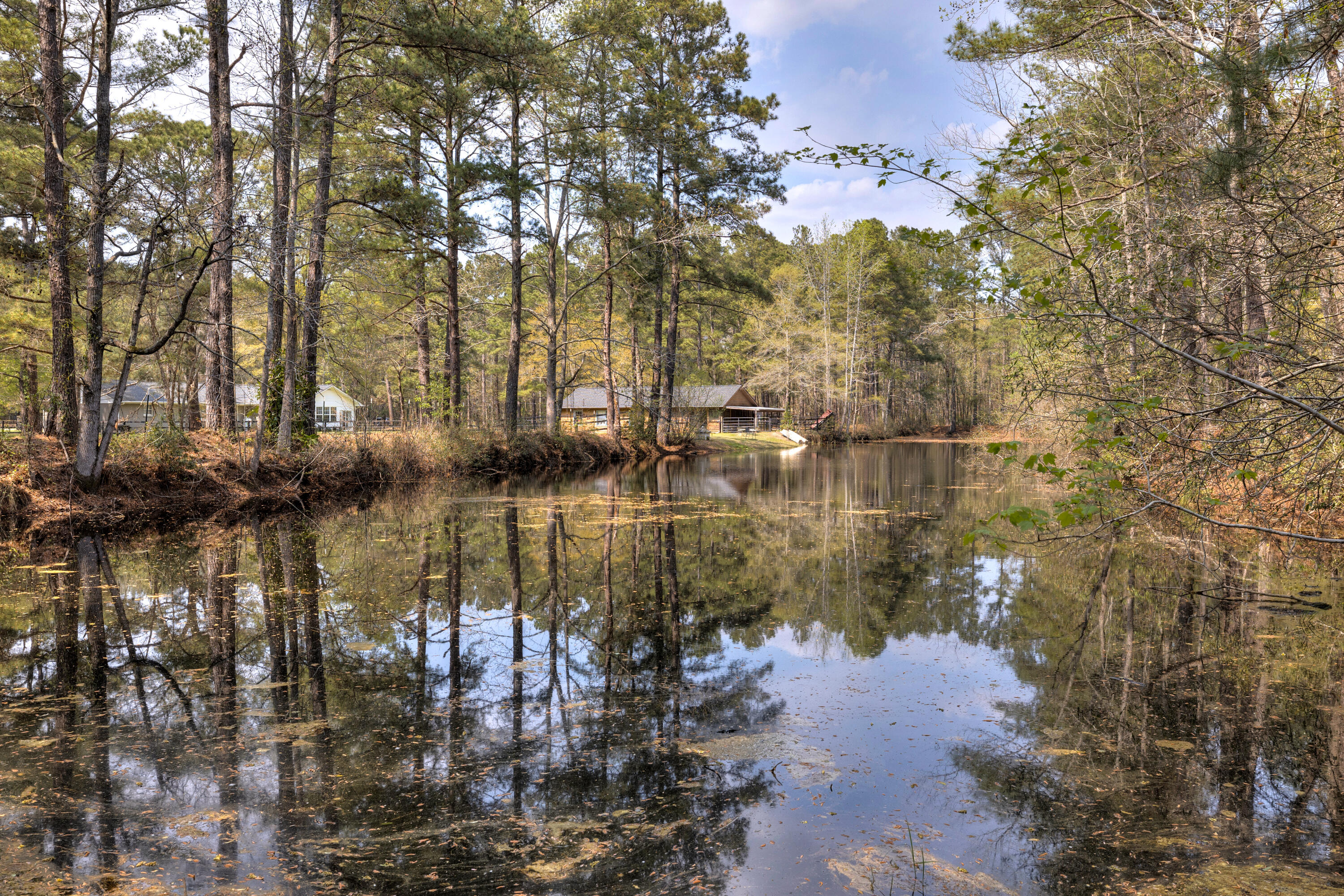 2341 Old Whites Mill Road Sumter, SC 29153 - Photo 63 of 81 23