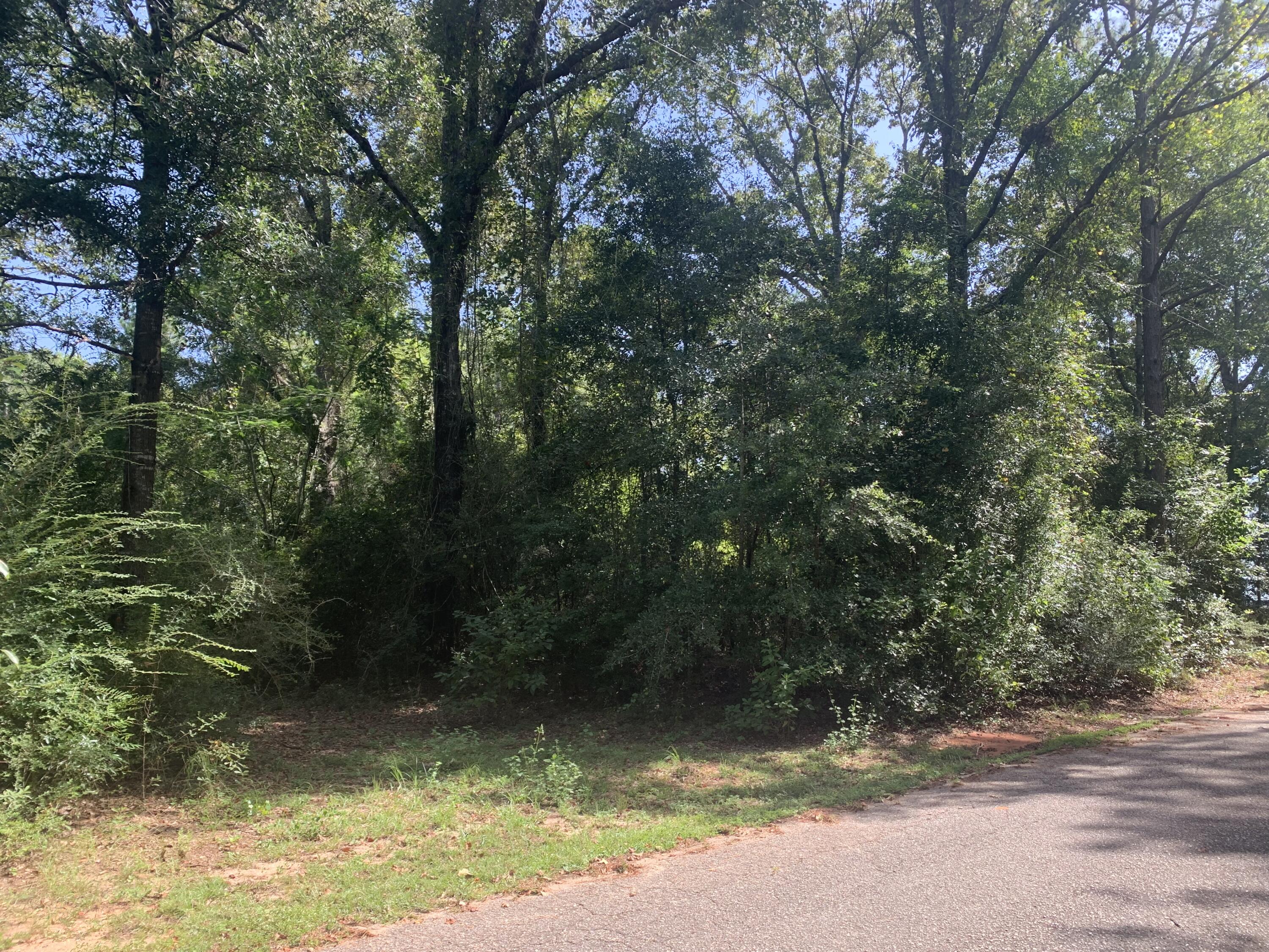 0 Bullard Road Milton, FL 32570 - Photo 4 of 4 97CEFF02-CDAE-4EBC-85BF-0DE5BA61CE24