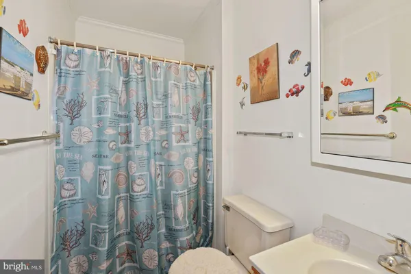 a bathroom with a shower curtain and a sink