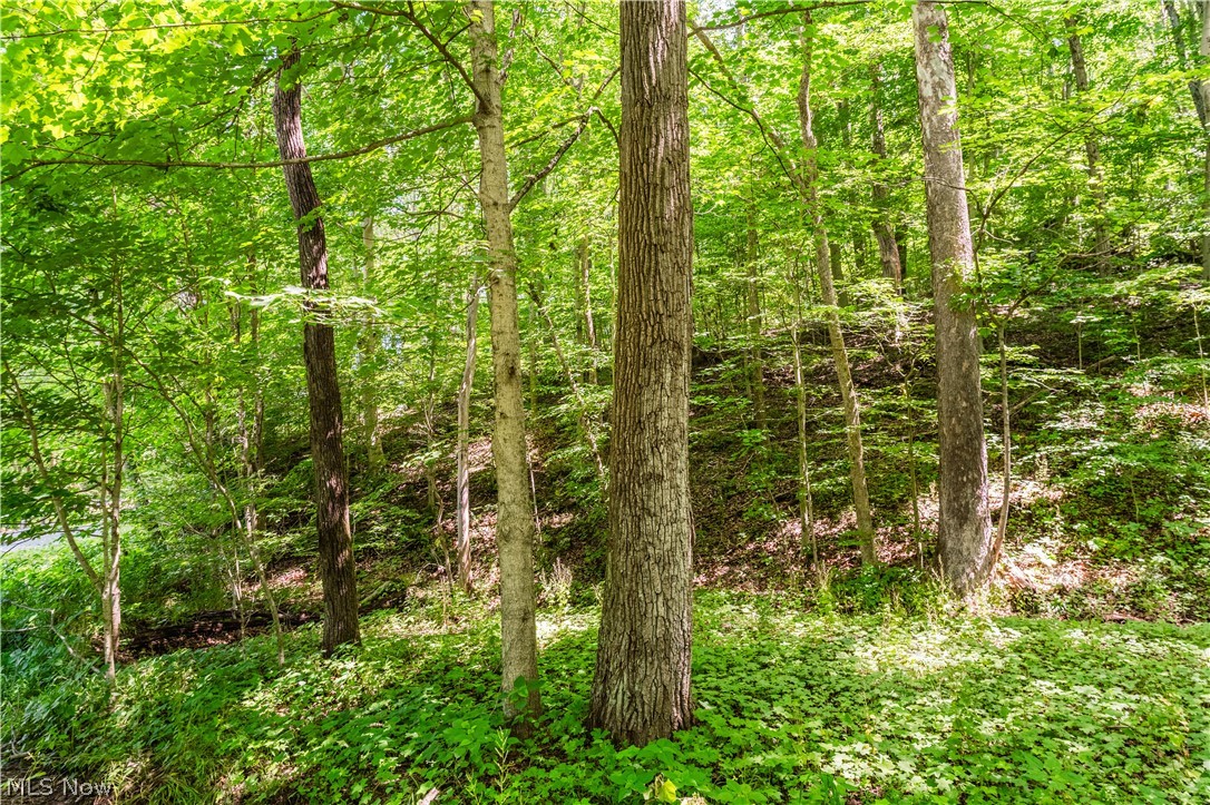 Norris Road Tippecanoe, OH 44699 - Photo 25 of 32