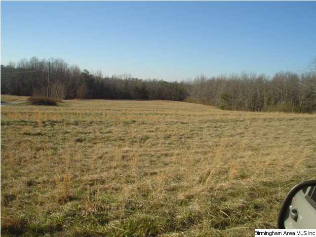 4625 Highway 24 Springville Al Springville, AL 35146 - Photo 16 of 29