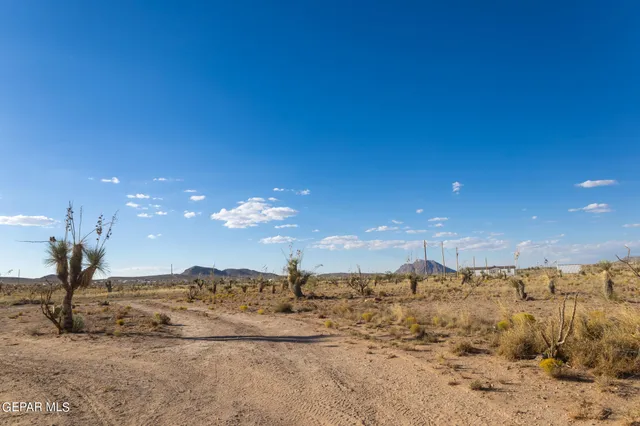 a view of a very nice looking yard