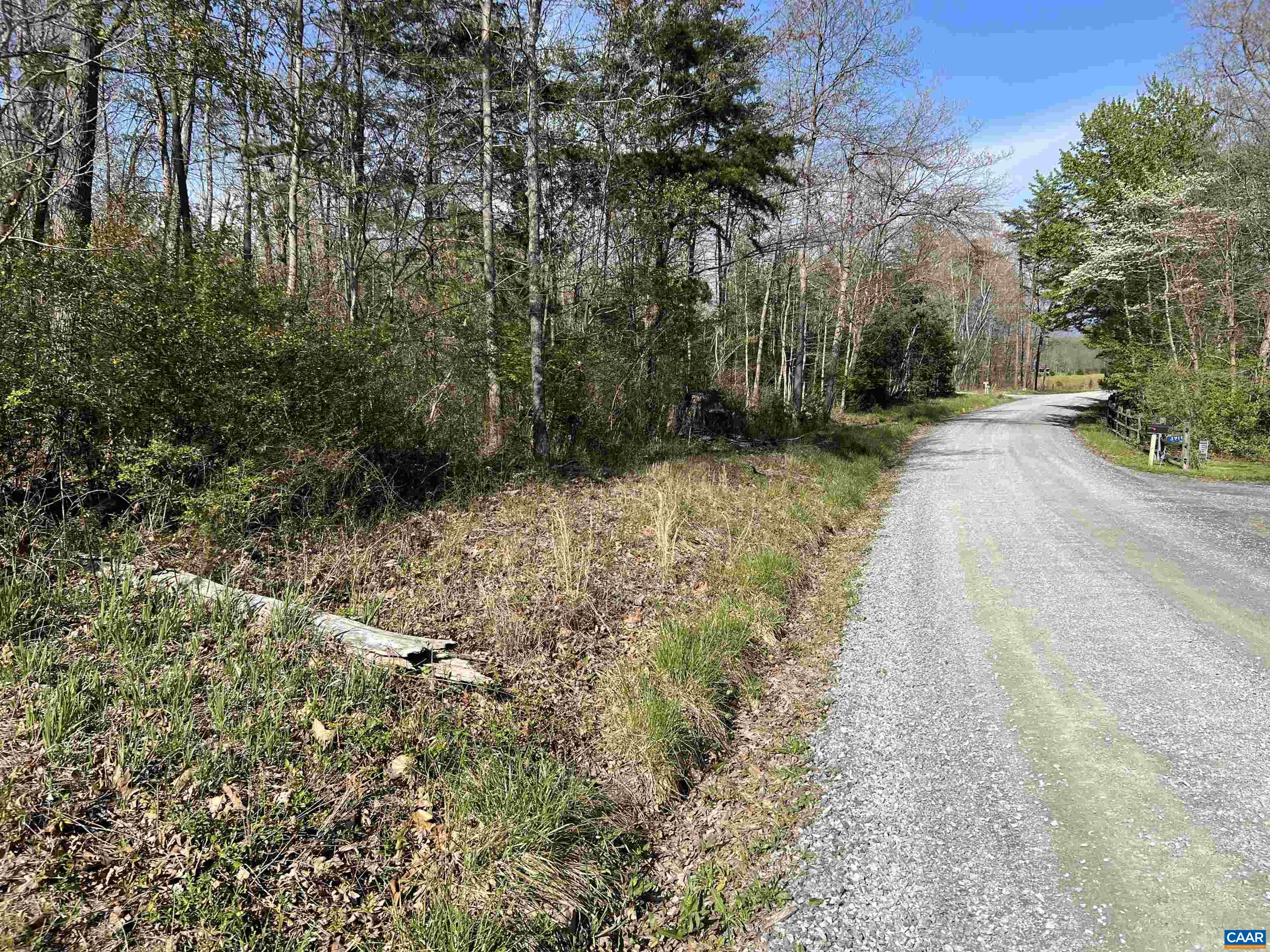 Tbd Bloomer Springs Road Elkton, VA 22827 - Photo 2 of 13 Gallery Image 2