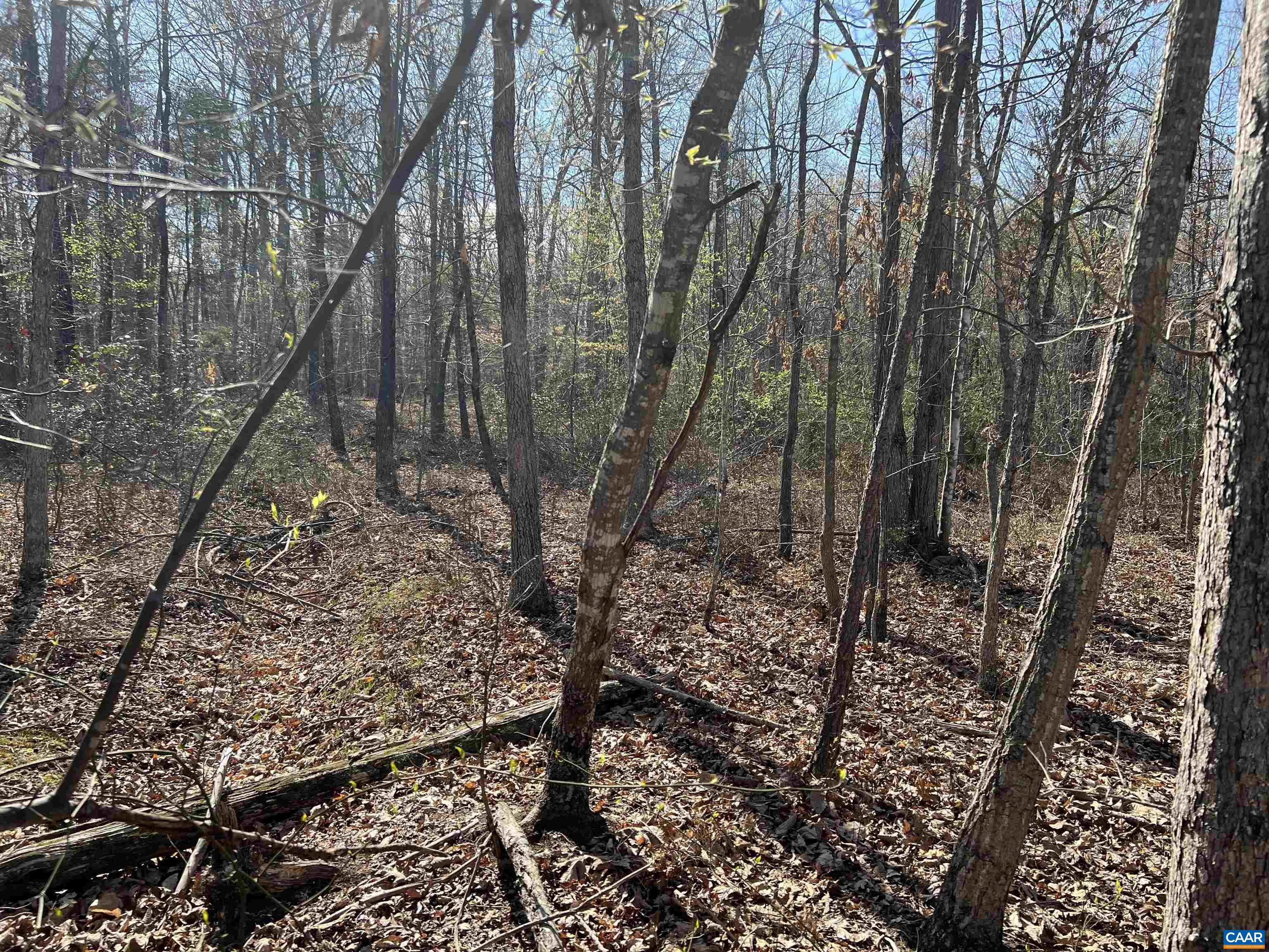 Tbd Bloomer Springs Road Elkton, VA 22827 - Photo 7 of 13 Gallery Image 7