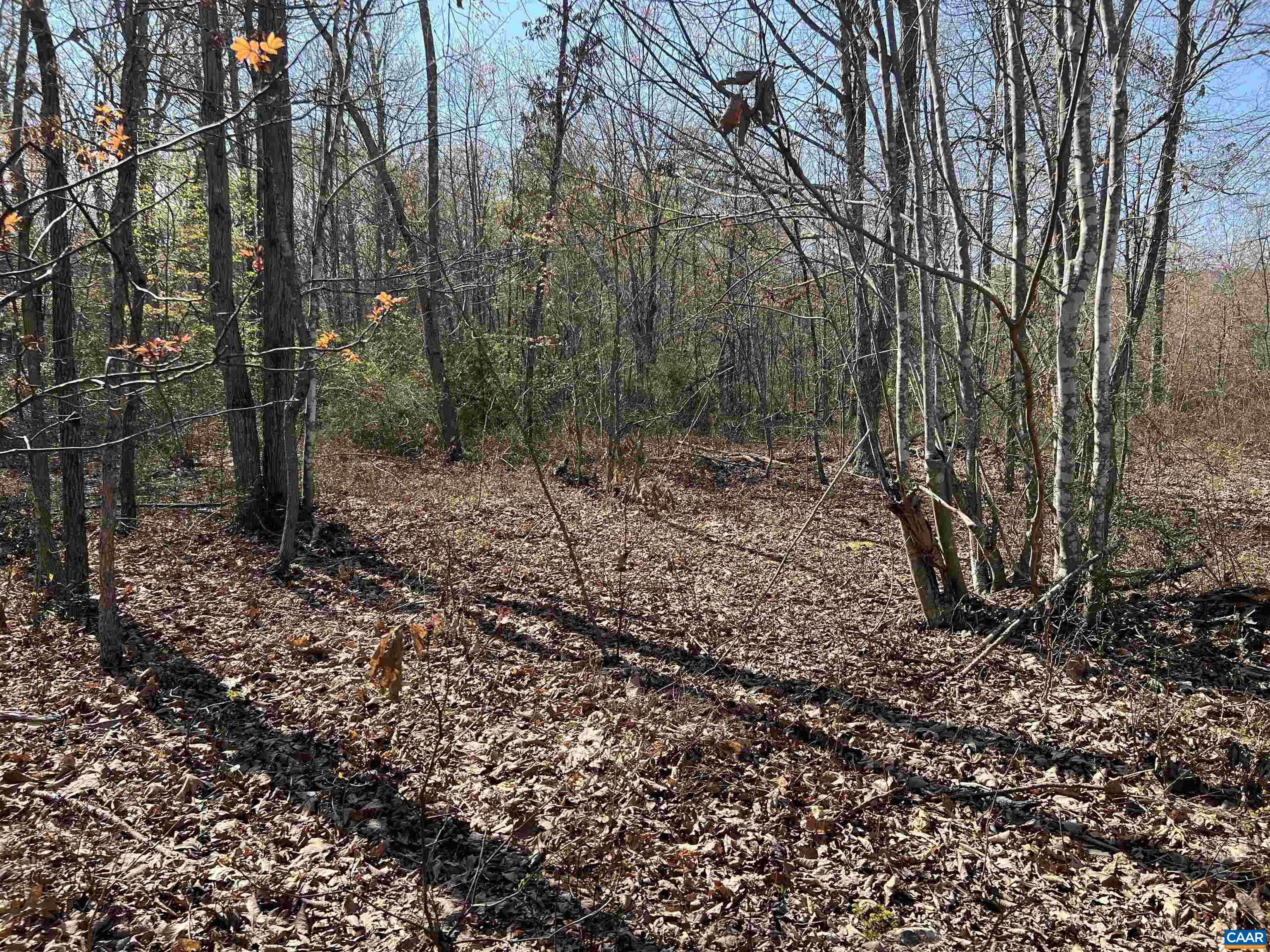 Tbd Bloomer Springs Road Elkton, VA 22827 - Photo 8 of 13 Gallery Image 8