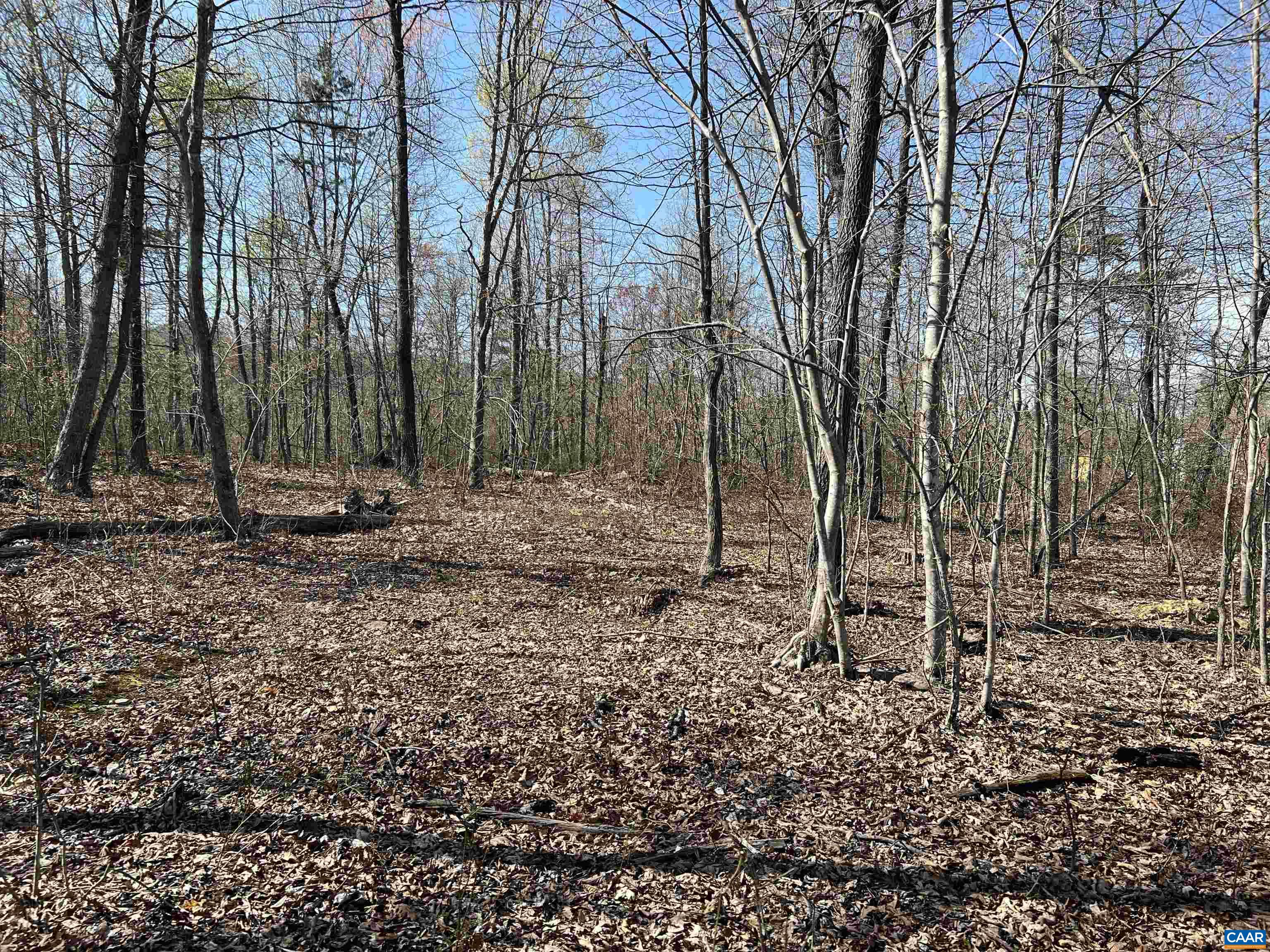 Tbd Bloomer Springs Road Elkton, VA 22827 - Photo 9 of 13 Gallery Image 9
