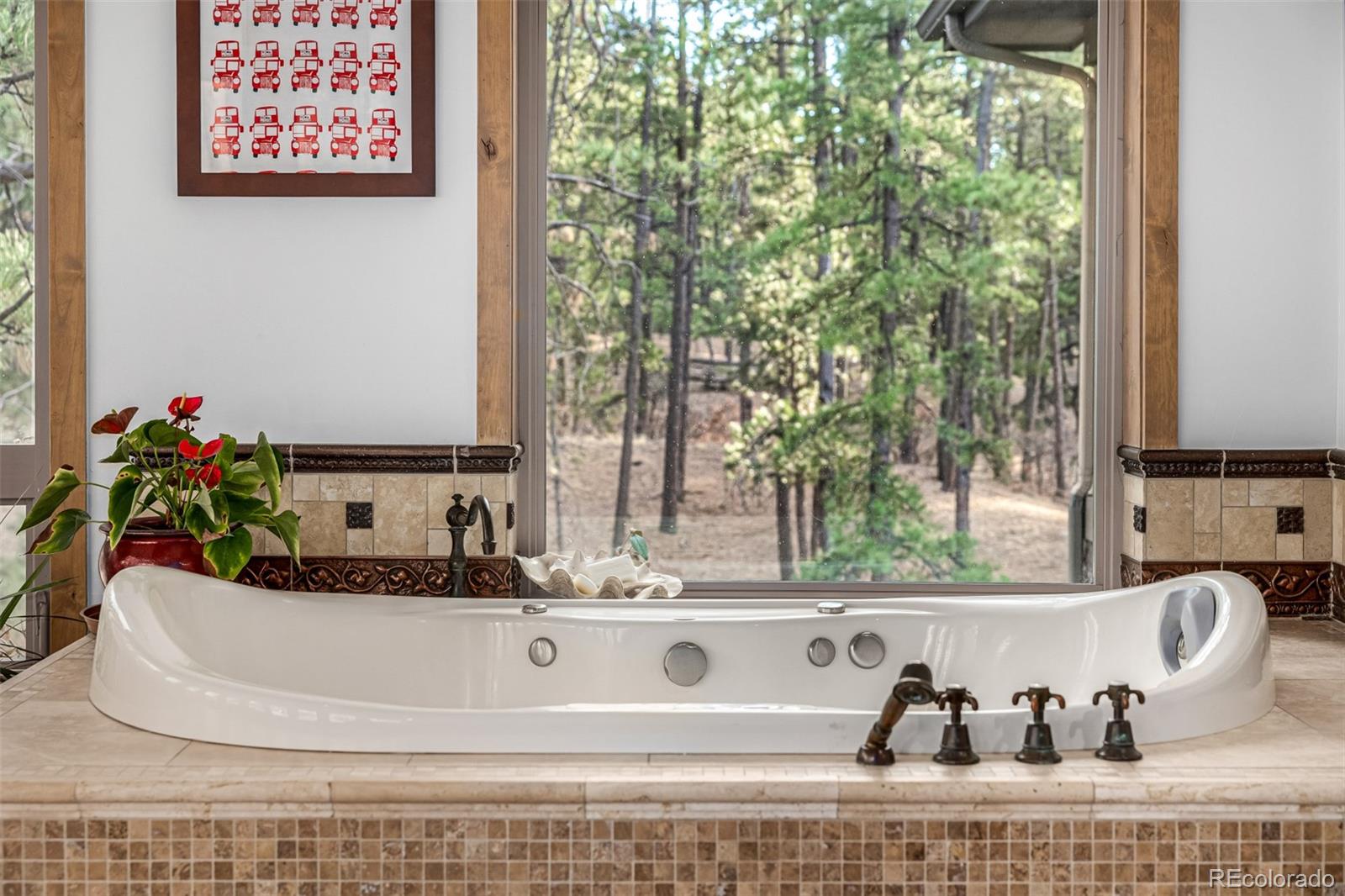 10231 Democrat Road Parker, CO 80134 - Photo 15 of 40