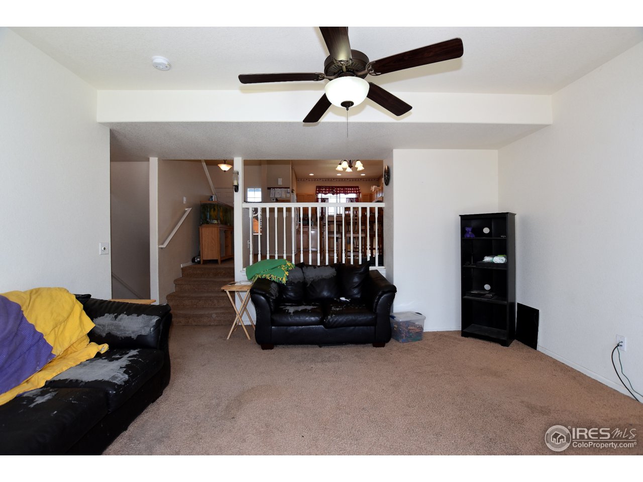 508 East 28th St Road Greeley, CO 80631 - Photo 11 of 26 Gallery Image 11