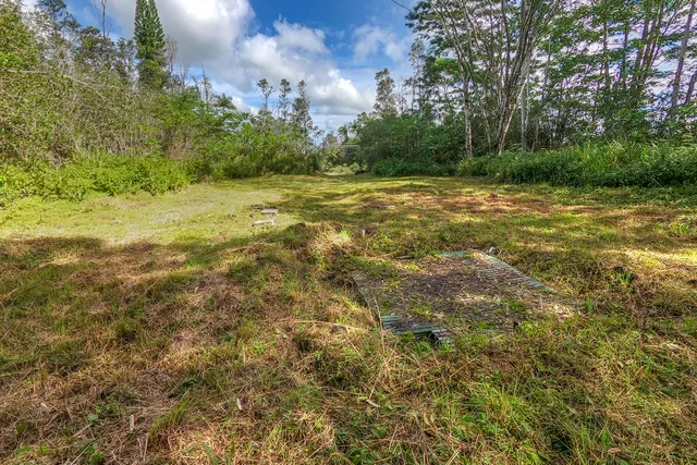a view of a field with an trees