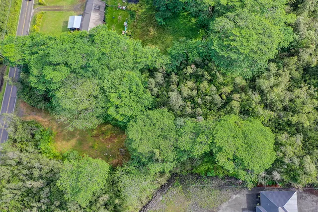 an aerial view of a house with a yard and lake view