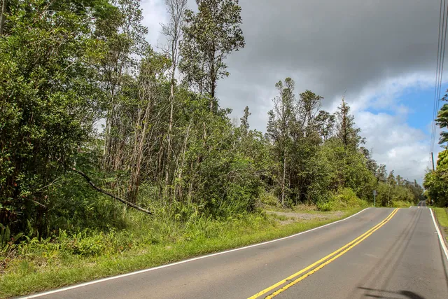a view of a yard with an tree