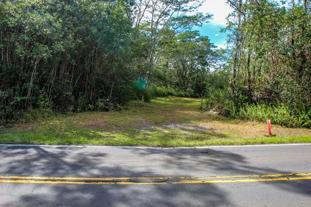 a view of a garden with plants and wooden fence