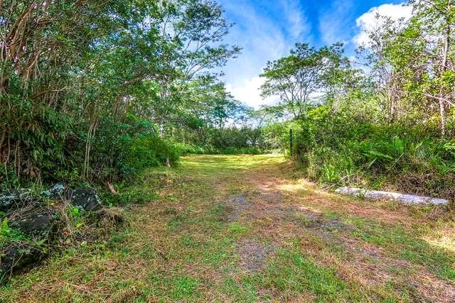 a view of outdoor space and yard