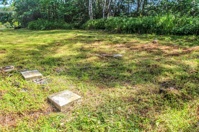 a view of a yard with a trees