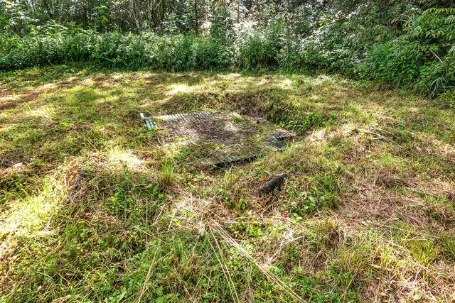 a view of a field with an tree