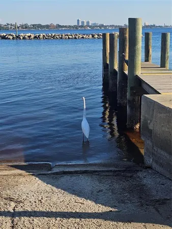 $299,000 | 1415 Ocean Shore Boulevard, Unit 1112, Ormond Beach, FL 32176