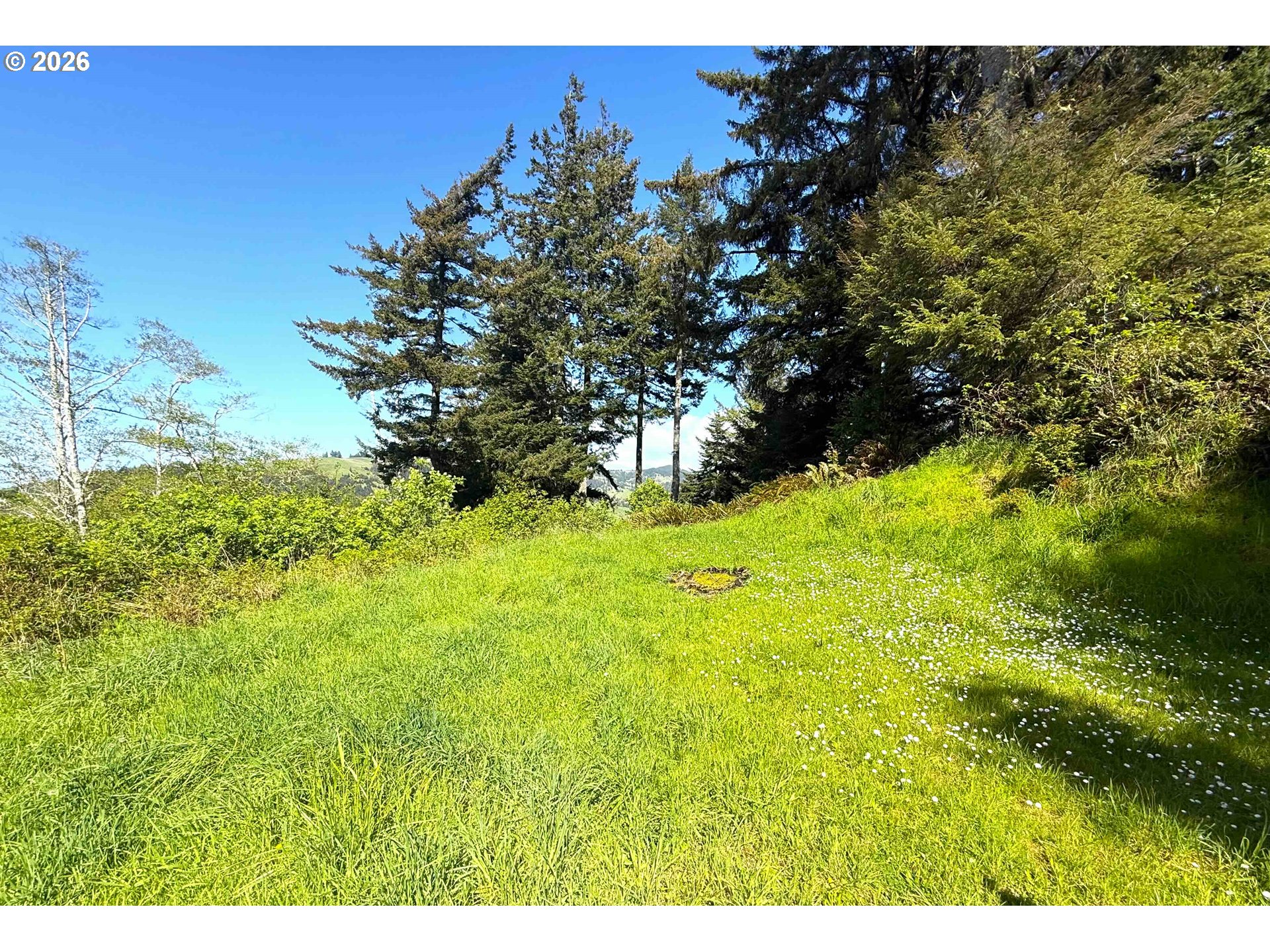 Pacific View Langlois, OR 97450 - Photo 12 of 24
