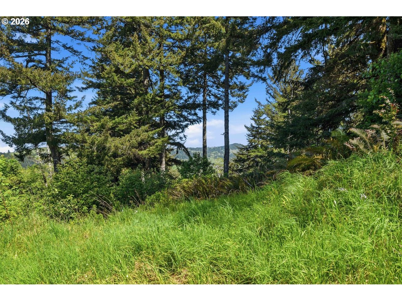 Pacific View Langlois, OR 97450 - Photo 13 of 24
