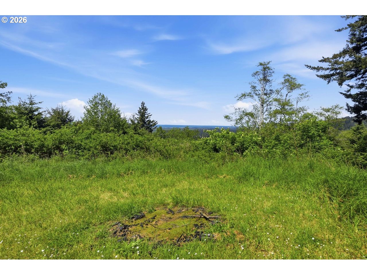 Pacific View Langlois, OR 97450 - Photo 16 of 24