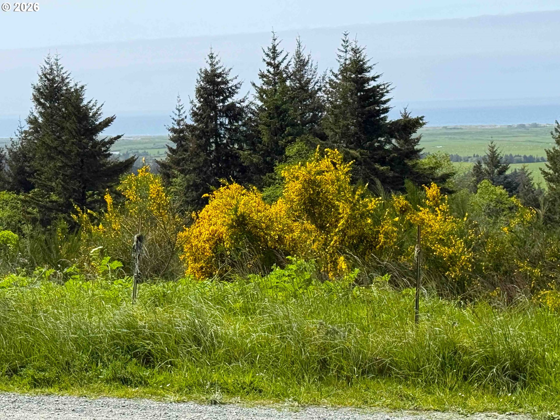 Pacific View Langlois, OR 97450 - Photo 21 of 24