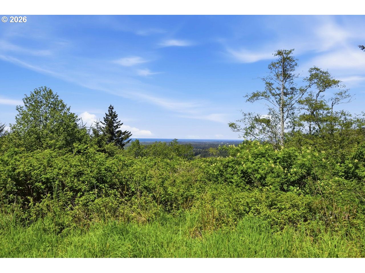 Pacific View Langlois, OR 97450 - Photo 4 of 24
