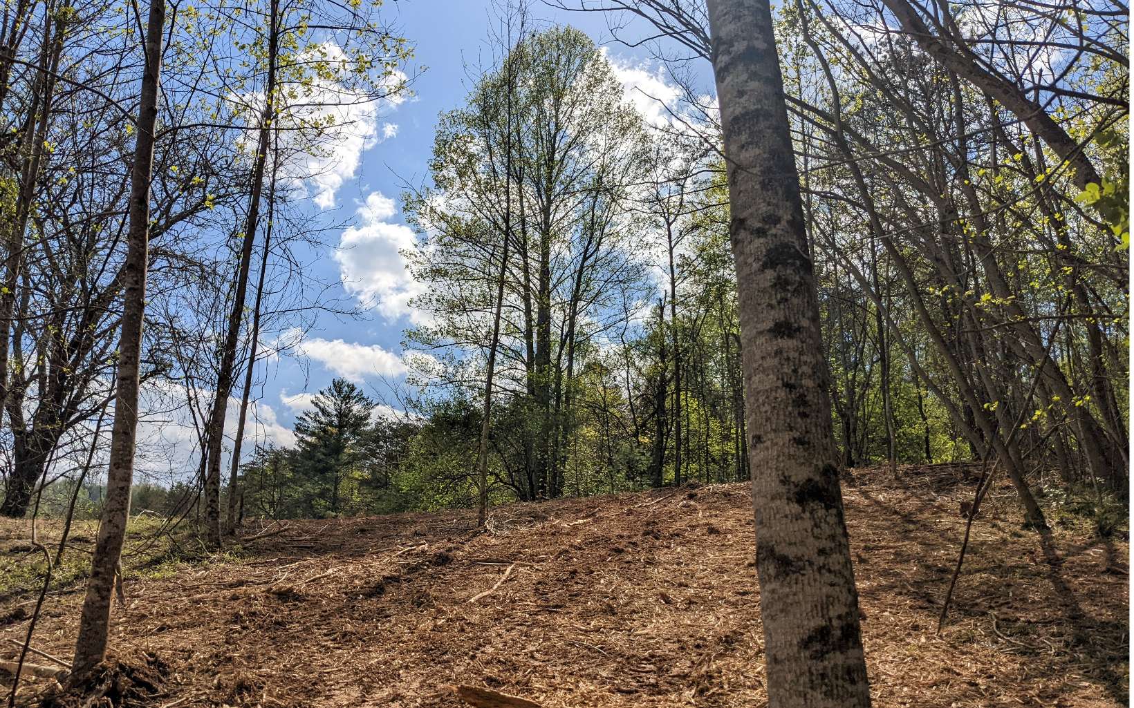 Lot 2 Huntington Ridge Road Blairsville, GA 30512 - Photo 24 of 29 Additional View