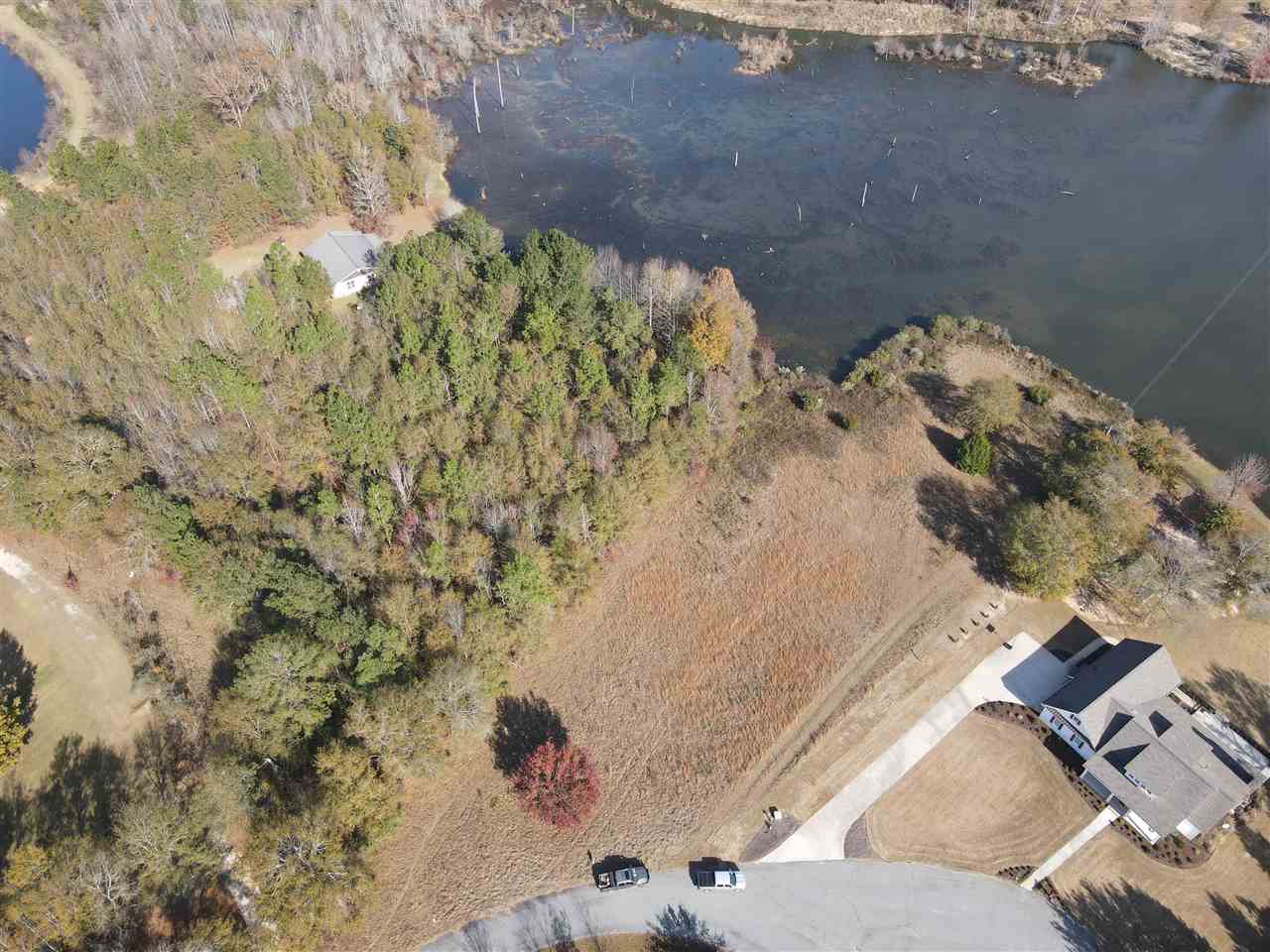 Lot 16 Elizabeth Street Cochran, GA 31014 - Photo 3 of 14