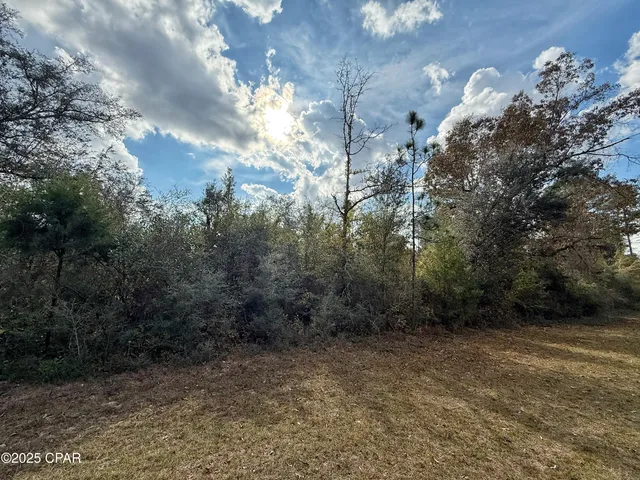 $14,900 | Lot 23 Nortek Boulevard, Marianna, FL 32448