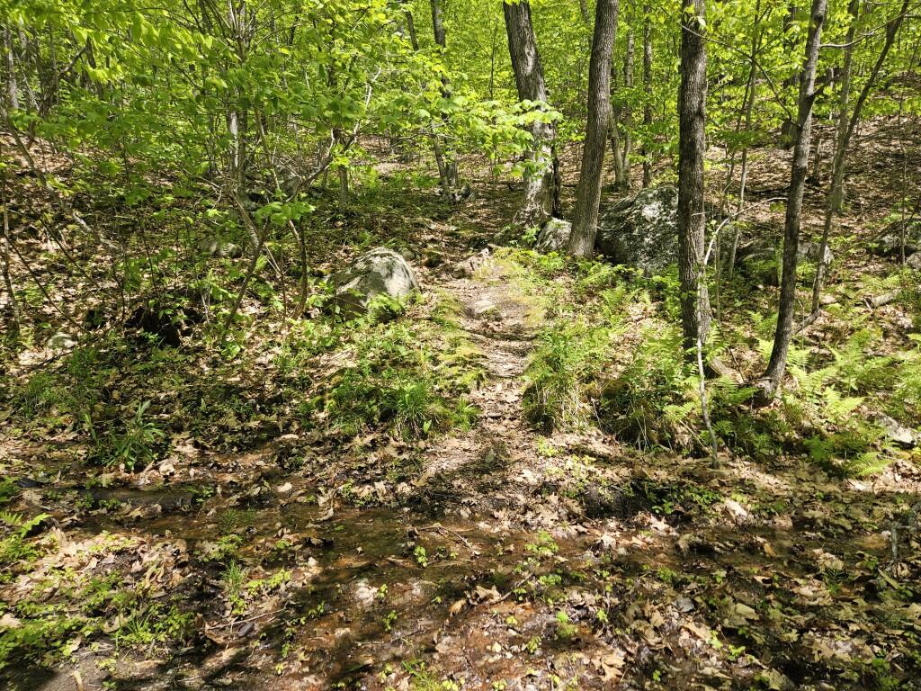 21 Jewett Way Hanover, ME 04237 - Photo 57 of 57 20260526_115233