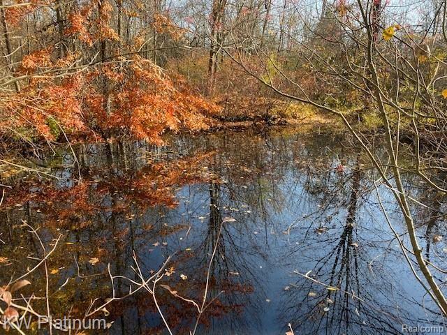 5849 Meldrum Road Casco, MI 48064 - Photo 13 of 14 pond view.jpg