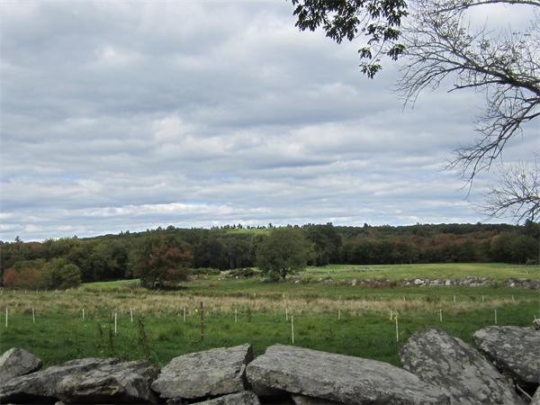 43 Quisset Road Mendon, MA 01756 - Photo 6 of 12 Gallery Image 6
