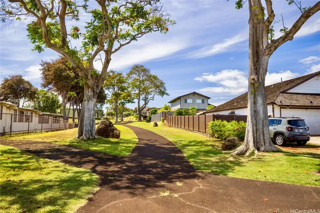 a view of a yard with plants