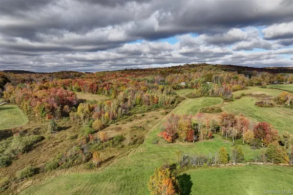 a view of a swimming pool with a yard