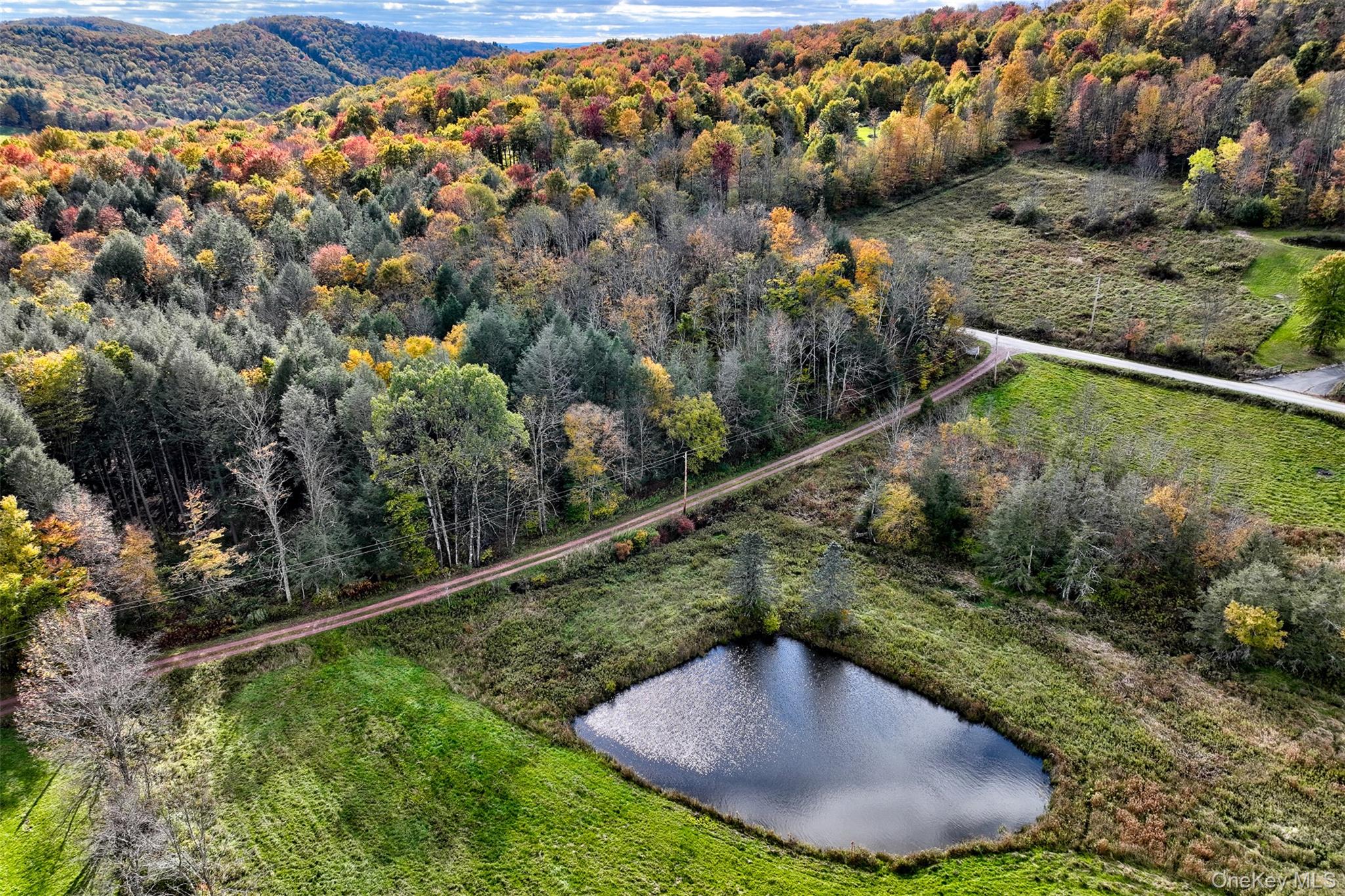 104 William Herbert Road Fremont Center, NY 12736 - Photo 30 of 43 a view of a swimming pool with a yard