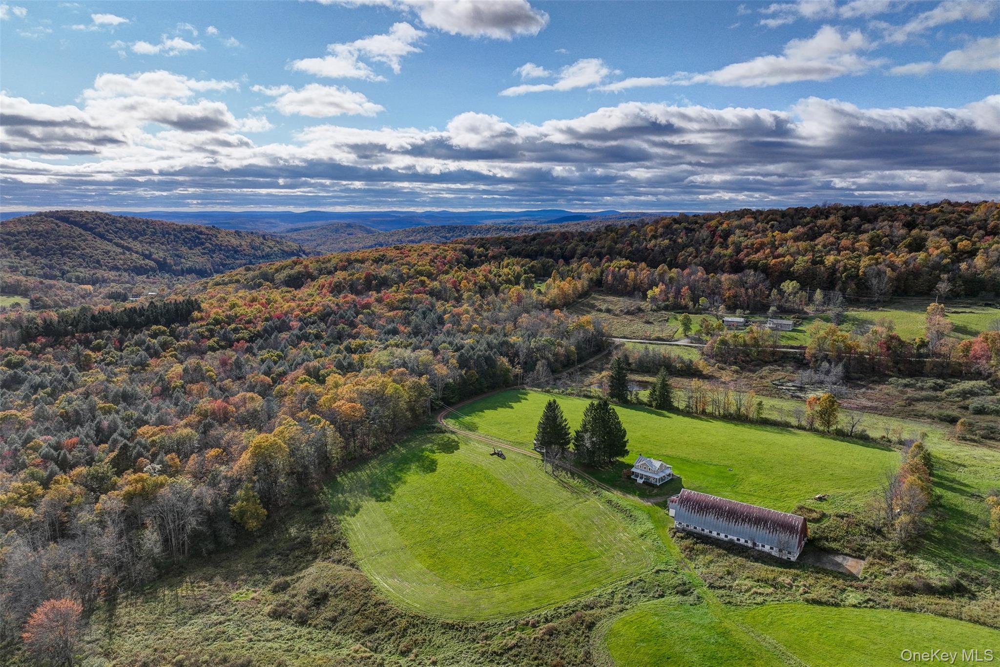 104 William Herbert Road Fremont Center, NY 12736 - Photo 31 of 43 a view of a yard with a swimming pool
