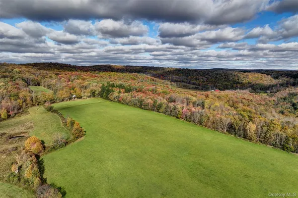 an aerial view of residential houses with outdoor space and trees